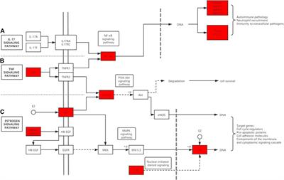 Icariin: A Potential Molecule for Treatment of Knee Osteoarthritis